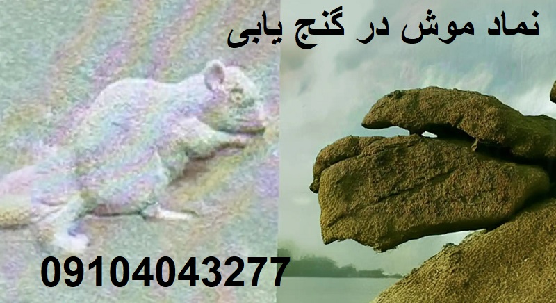 نماد موش درگنج یابی