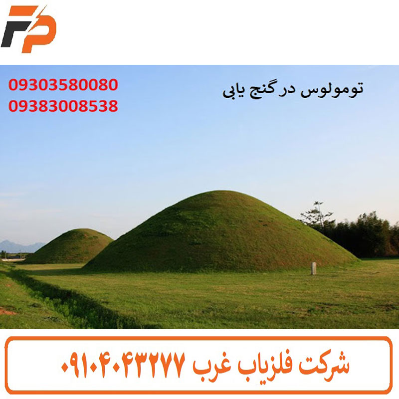 تومولوس در گنج یابی