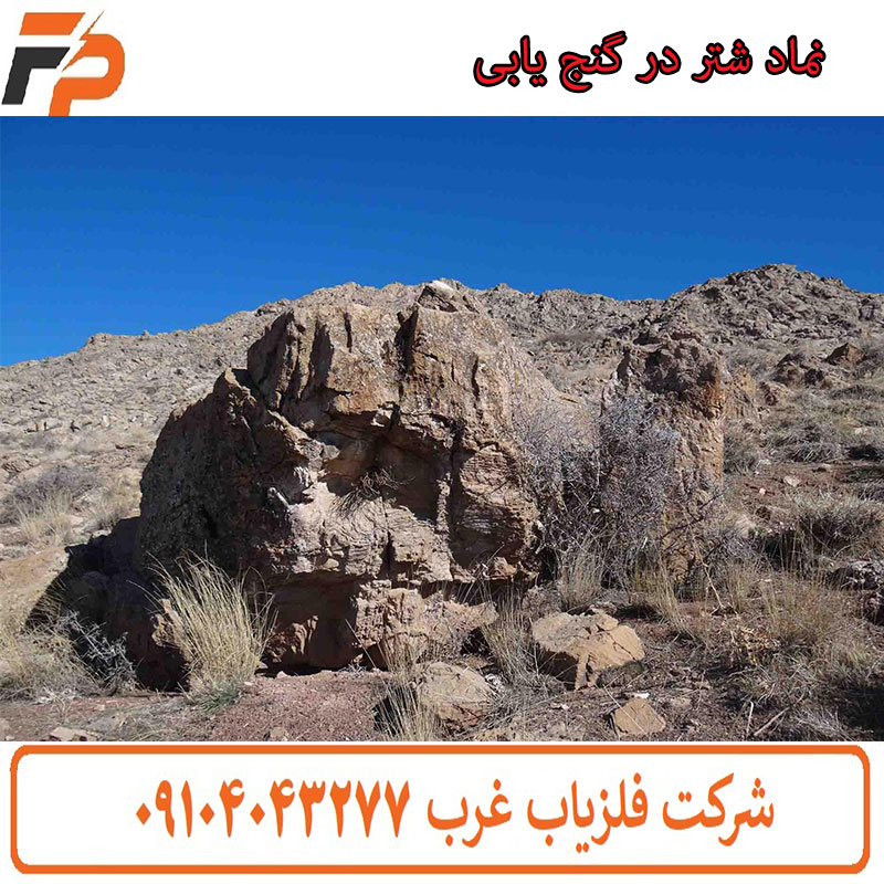 نماد شتر در گنج یابی