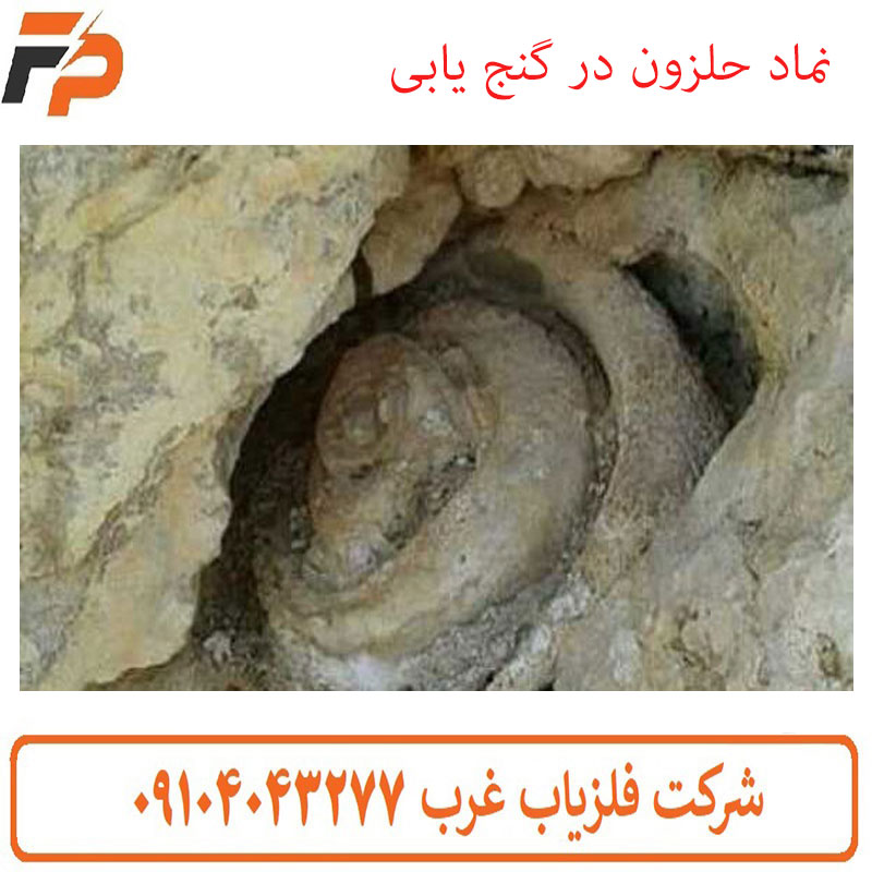 نماد حلزون در گنج یابی